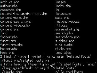 【wp】英語テーマの日本語化にSSH