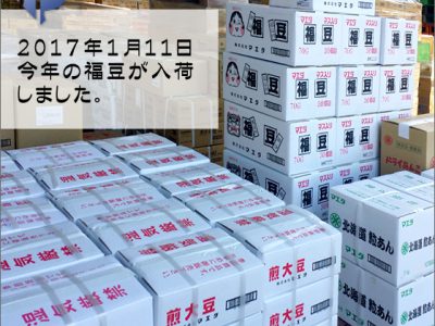 節分豆が入荷しました