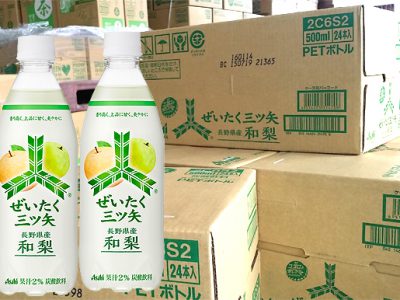 【新製品】8月4日発売『ぜいたく三ツ矢 長野県産和梨』売れてます