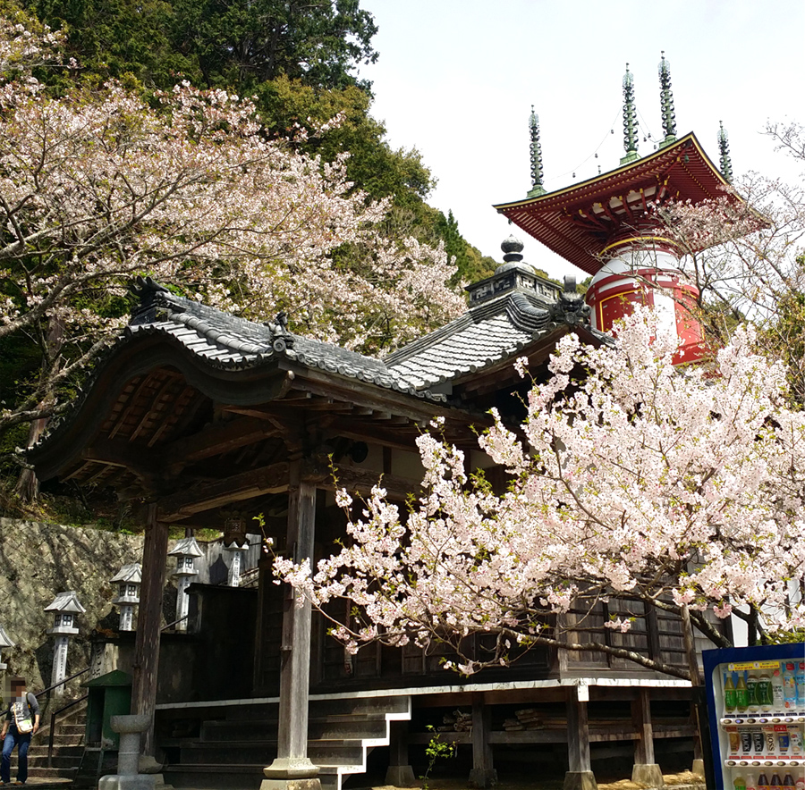 第23番札所 医王山 無量寿院 薬王寺