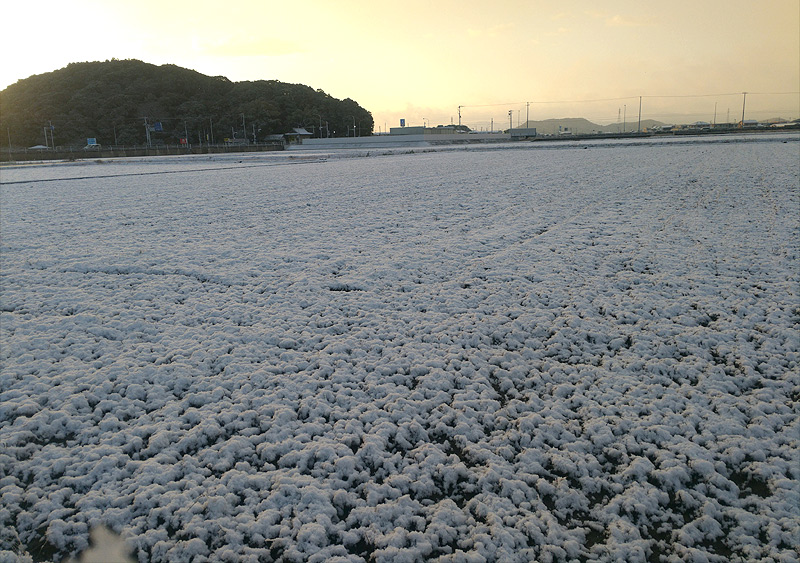 20180111徳島県南では珍しい初雪