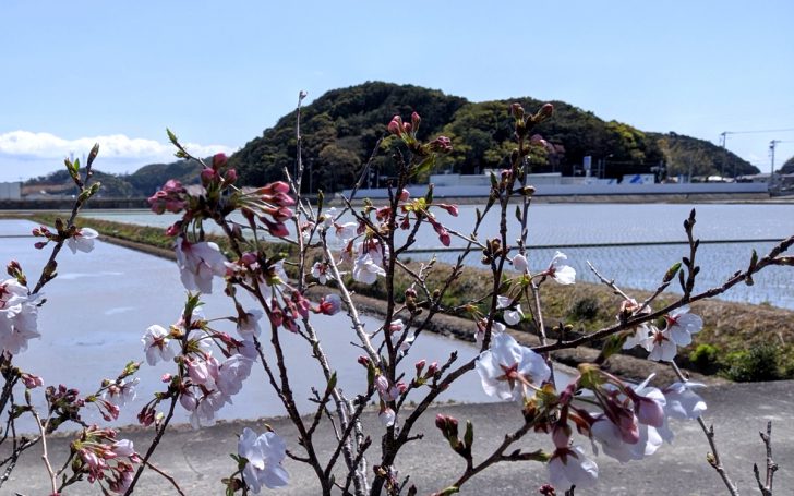 20200405阿南市で田植えが始まりました