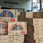 徳島製粉「金ちゃん鍋焼きうどん」シリーズの初荷