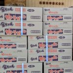 [数量限定再発売]一時的に復活「金ちゃん肉うどん」入荷