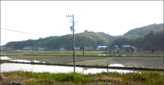 田植えが終わりました