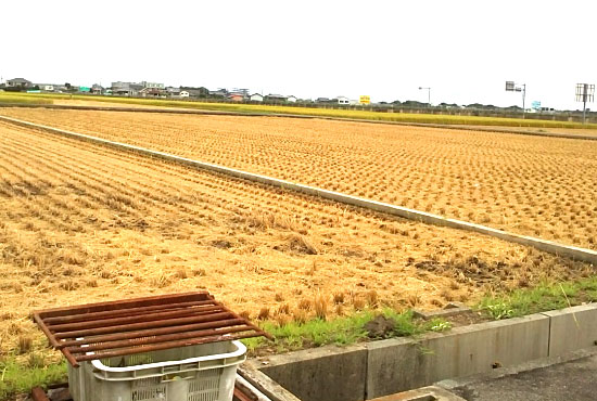 【阿南市】阿南市のほとんどの田んぼで刈り取りが終わりました。